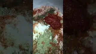 Толма из капусты Армянская 