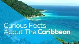CURIOUS FACTS ABOUT THE CARIBBEAN // WHYGO
