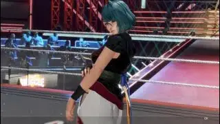 DEAD OR ALIVE 6 - Tamaki Arcade (Legend) [151]