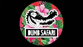 MEES MATTERN - DA SLAPPER [DUMB SAFARI]