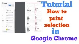 tutorial how to print selection in google chrome