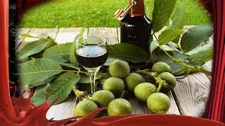 Tincture of young walnuts.