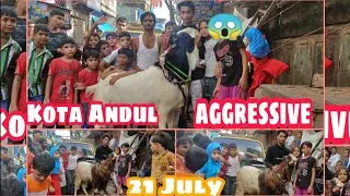 Deonar Bakra Mandi 2020 Update | Lockdown Deonar mandi 18 July Update | Kota Andul Aggressive Goat