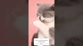 😘😘😘😁😁😁любите таких малышей ,? ставьте лайк😘