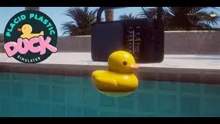 placid pastic duck LIVE
