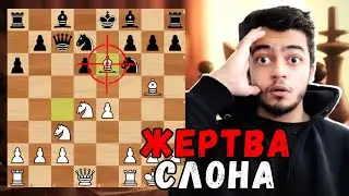 Разрушающая ЖЕРТВА Слона, которую НЕ ОЖИДАЮТ