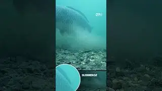 LUCKY WE DIDN'T F*** HOOK HIM! 🐟️