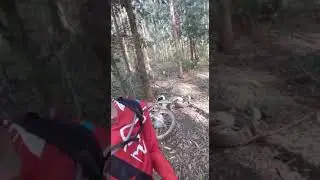 No meio do mato sozinho socorro