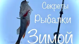 Секреты зимней рыбалки! Посмотри перед тем как выходить на лед!