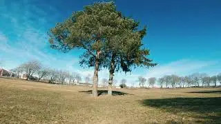 Jazzy spring flight
