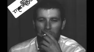 Arctic Monkeys - Riot van