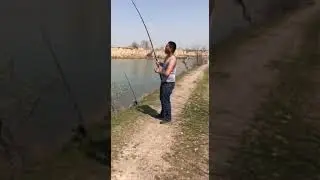 Baliq ovi  _ 