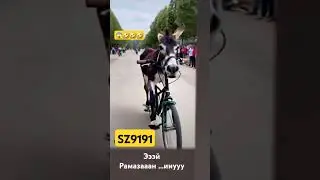 #automobile #rek #3мировая #comedyfilms #юмор #uysharoyitidaatalatayyorlash #comedymovies #дуэт #du