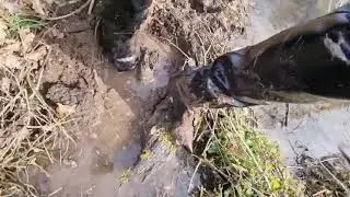 Прогулка в ботфортах