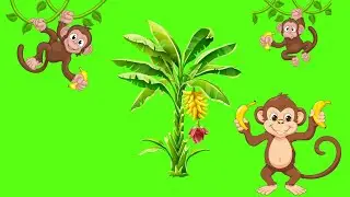 Green Screen banana tree #greenscreenbananatree #greenscreen #banana #viral #short #shorts