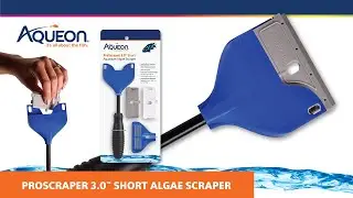 Aqueon Short Scraper