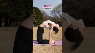 Chakra Yoga | Balance Your 7 Chakras #yoga #chakrahealing #chakras #chakrabalancing #yogaposes