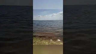 Озеро Нарочь 👍