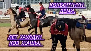 Мен Netflix тен Көк бөрүнү көргөндө ыйлагам дейт.