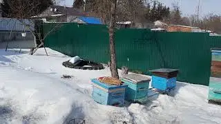 16 марта потепление
