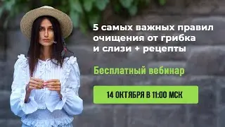 5 самых важных правил очищения от грибка и слизи