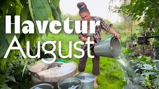 Havetur August | Jordbær bed i overflod, et kig i køkkenhaven & en ny hjemmelavet sodavand 