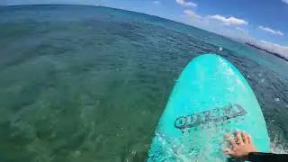 barrel shot?