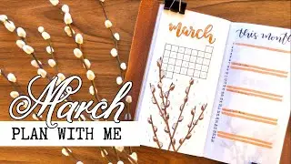 Ready for spring! // March 2020 Bullet Journal Plan With Me