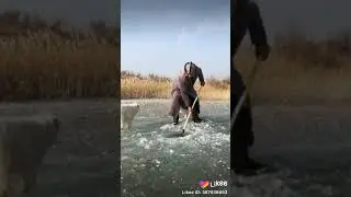 Вот это рыбок