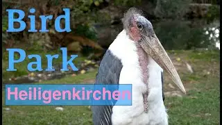 Bird Park Heiligenkirchen 10.2022