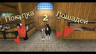 Стар стейбл/ покупка лошадей/шайр/ахалтекинец