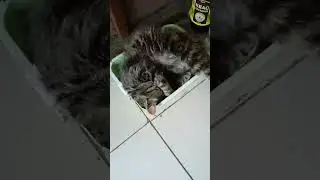 удобное место. 😄