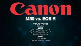Canon M50 vs Eos R  📷  Technicolor CineStyle