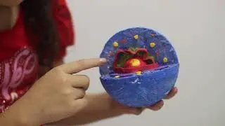 Célula animal y vegetal
