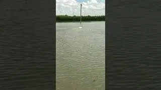 Карповый кораблик
