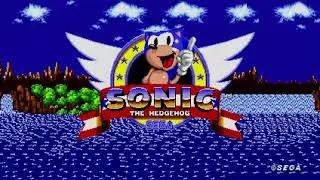 Sonic The Hedgehog & Tails in Sonic Origins