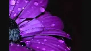 Carrie Underwood- Someday When I Stop Loving You [Lyrics]
