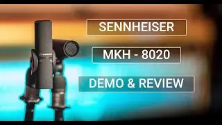 Sennheiser MKH 8020 Demo & Review