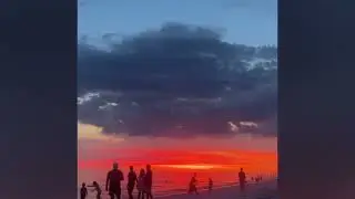 29 июля 2025 г.