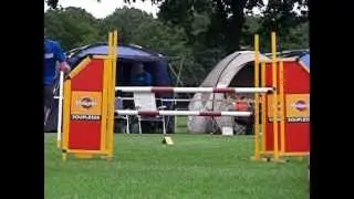 20120623 - Nederlands Kampioenschap Agility - de oxer.