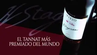 Tannat Viejo de Vinos Finos H. Stagnari ( El tannat más premiado del mundo )