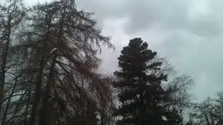 Экскурсия ЛТУ