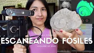 3D SCANNING FOSSILS AND PRINTING THEM /3D SCANNER POP 3 by Revopoint