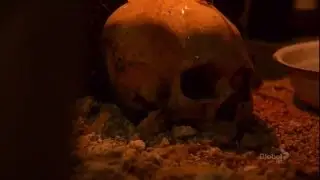 16x9 - In the Blood: Voodoo investigation