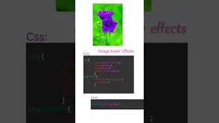 Image hover effects...Image zoom on hover effect.