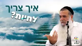 הרב יגאל כהן - איך צריך לחיות? - שפת סימנים