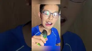 Boy Uses Parrot for Tooth Extraction!