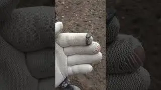 Старинный перстень в окислах. Интересно что это? 