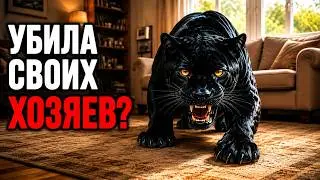 12 Animals You Should Never Keep as Pets!