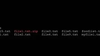 cat Command Tutorial -  Linux Tricks